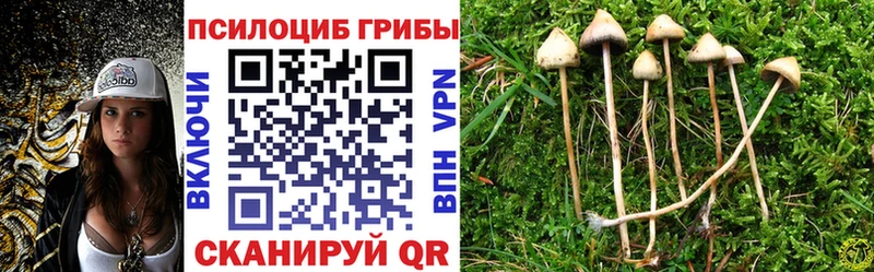 купить закладку  mega как зайти  Галлюциногенные грибы Magic Shrooms  Бавлы 